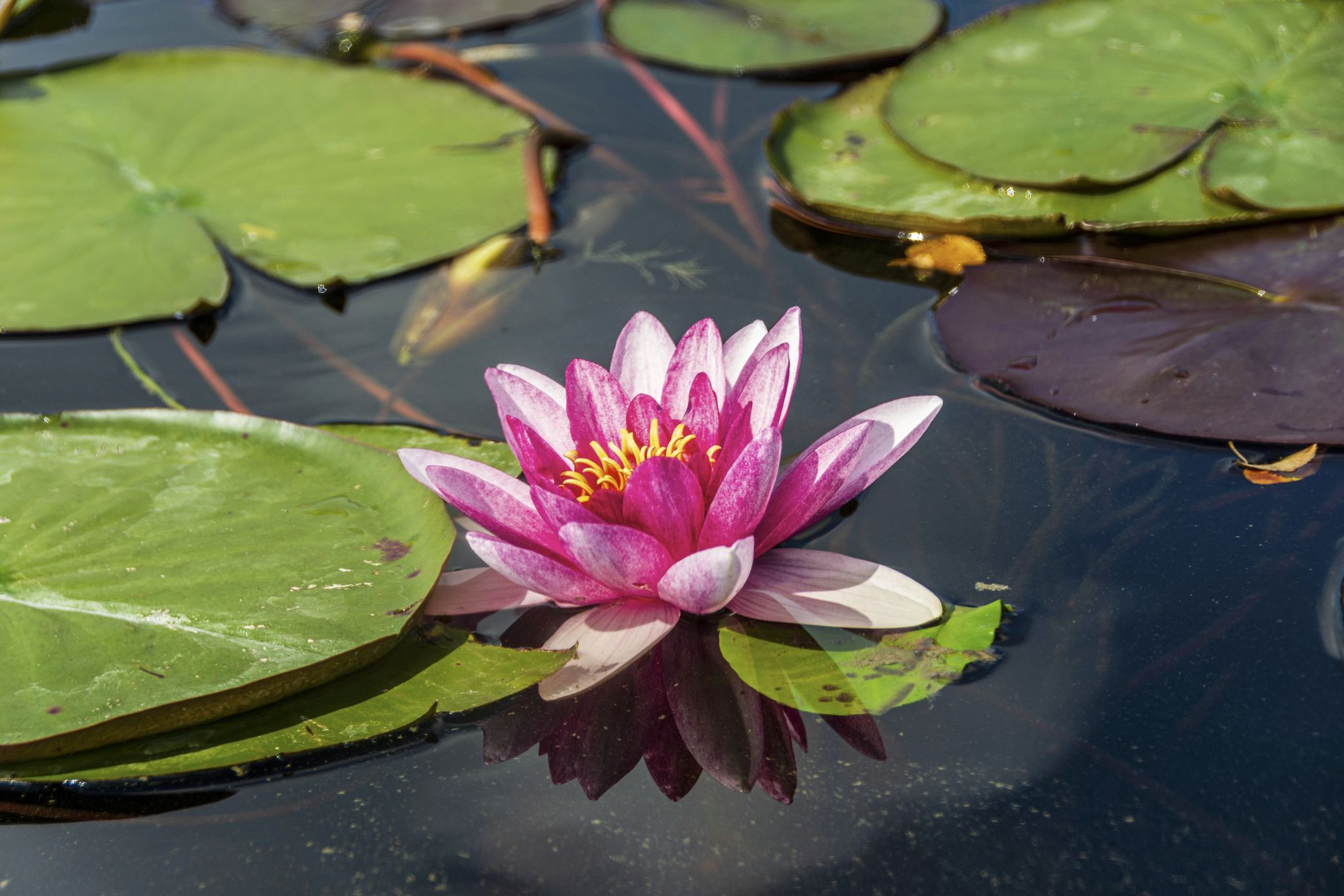 Kajaktour Staffelsee 12.09.2021